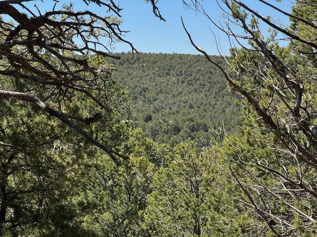 30 Rancho Verde Rd, Tijeras, NM 87059 - photo 21