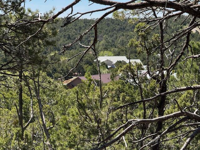 30 Rancho Verde Rd, Tijeras, NM 87059 - photo 20