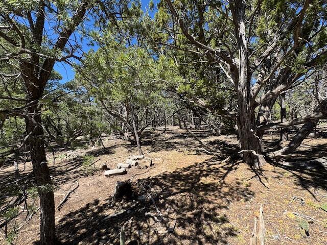 30 Rancho Verde Rd, Tijeras, NM 87059 - photo 19