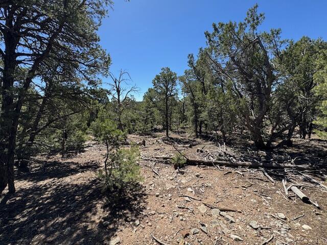 30 Rancho Verde Rd, Tijeras, NM 87059 - photo 18