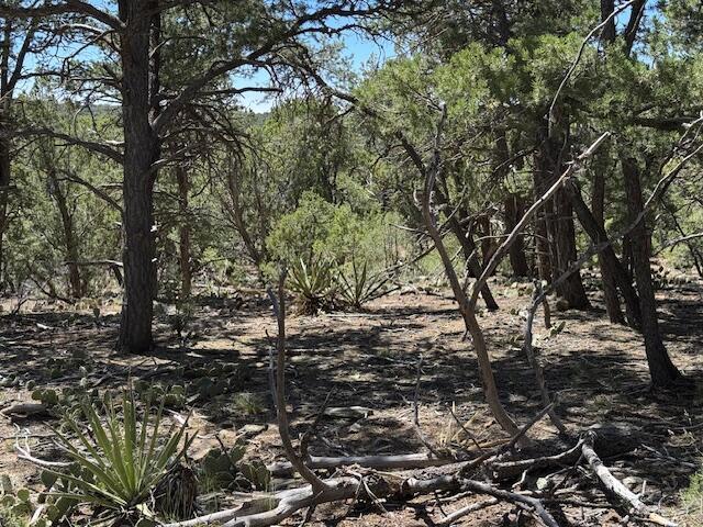 30 Rancho Verde Rd, Tijeras, NM 87059 - photo 17