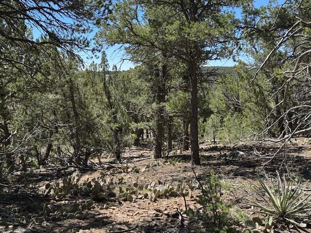 30 Rancho Verde Rd, Tijeras, NM 87059 - photo 16