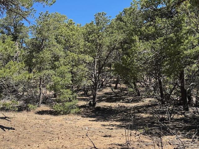 30 Rancho Verde Rd, Tijeras, NM 87059 - photo 15