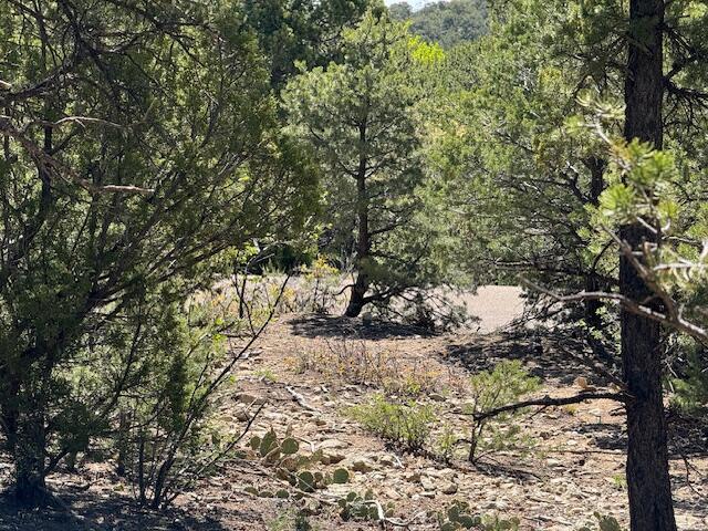 30 Rancho Verde Rd, Tijeras, NM 87059 - photo 14