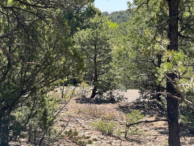 30 Rancho Verde Rd, Tijeras, NM 87059 - photo 13