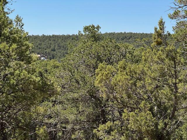 30 Rancho Verde Rd, Tijeras, NM 87059 - photo 12