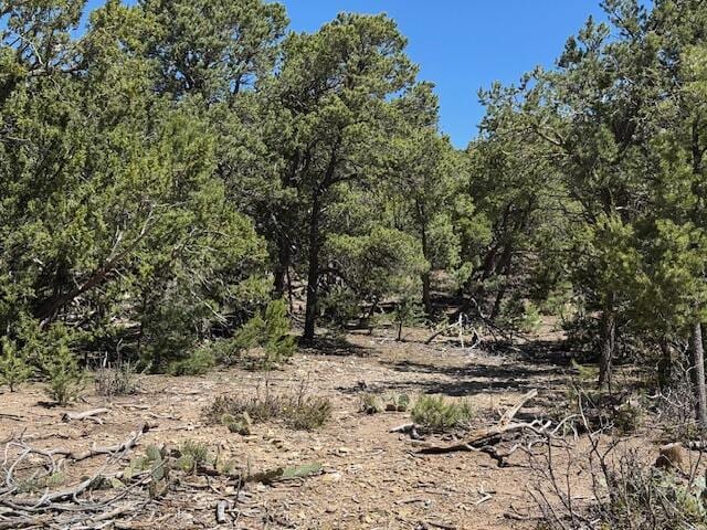 30 Rancho Verde Rd, Tijeras, NM 87059 - photo 11
