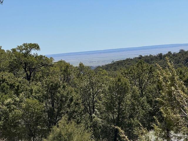 30 Rancho Verde Rd, Tijeras, NM 87059 - photo 9