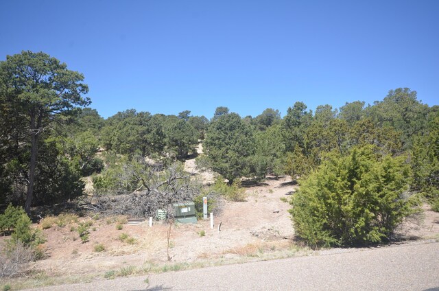 26 Rancho Verde Rd, Tijeras, NM 87059 - photo 22