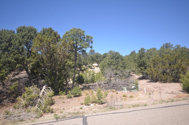 26 Rancho Verde Rd, Tijeras, NM 87059 - photo 23