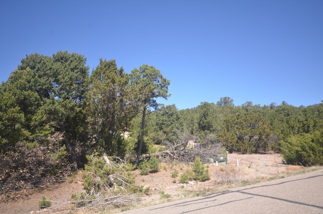 26 Rancho Verde Rd, Tijeras, NM 87059 - photo 24