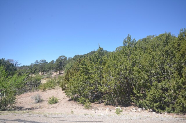 26 Rancho Verde Rd, Tijeras, NM 87059 - photo 25
