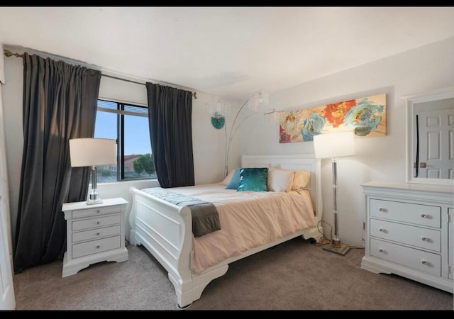 3301 Monroe St NE Unit D45, Albuquerque, NM 87110 - view of carpeted bedroom