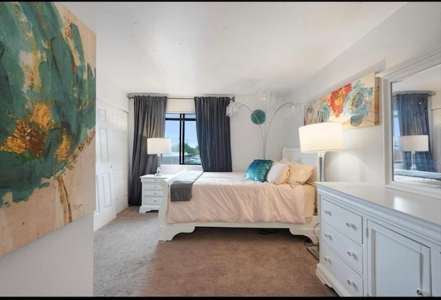 3301 Monroe St NE Unit D45, Albuquerque, NM 87110 - bedroom with carpet floors