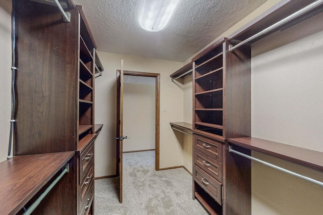 501 Calle De La Angel, Bernalillo, NM 87004 - walk in closet with light colored carpet