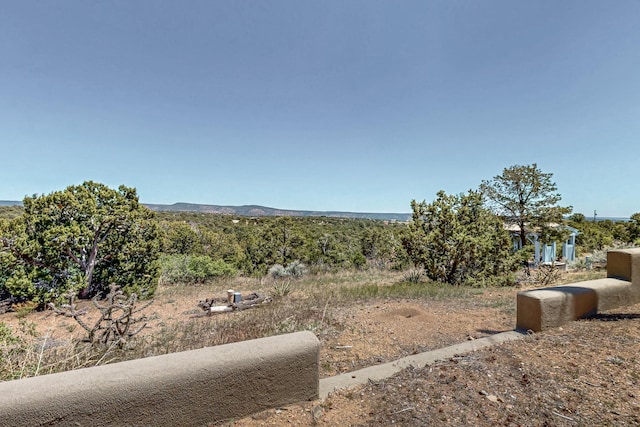 26 Apache Creek Rd, Santa Fe, NM 87505 - view of yard