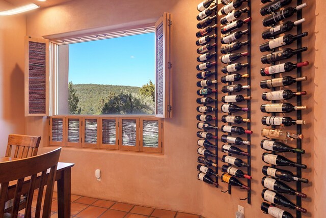 28 Canon Escondido, Sandia Park, NM 87047 - wine cellar featuring tile patterned floors