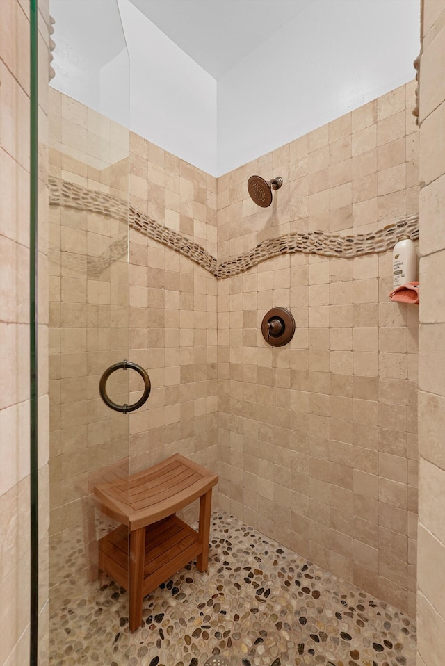 28 Canon Escondido, Sandia Park, NM 87047 - full bathroom with tiled shower