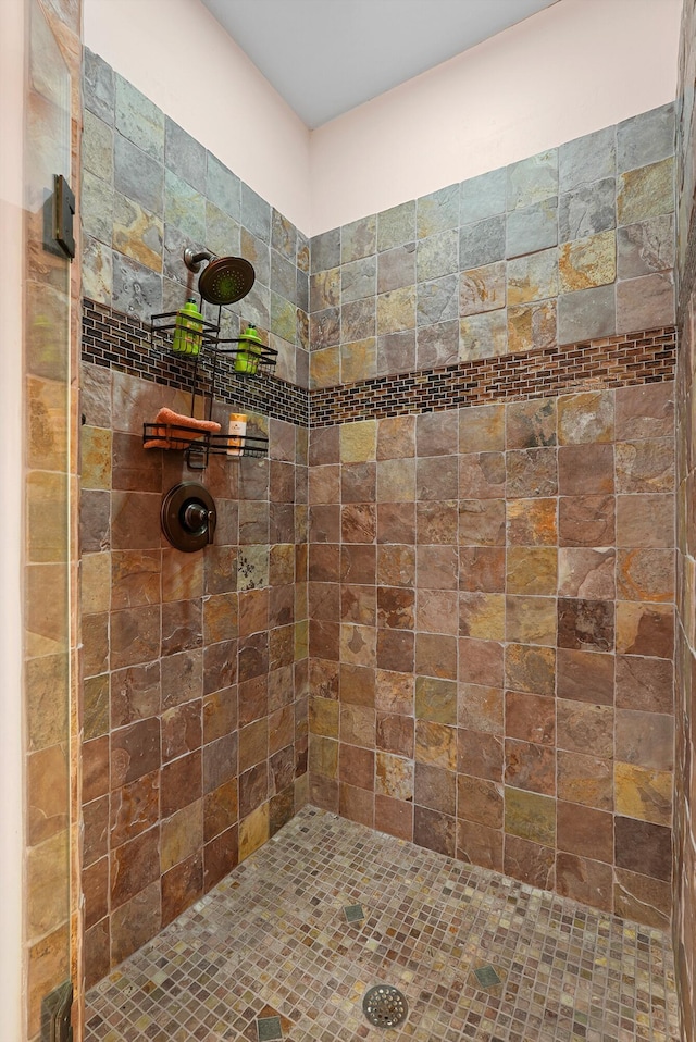 28 Canon Escondido, Sandia Park, NM 87047 - bathroom with a tile shower