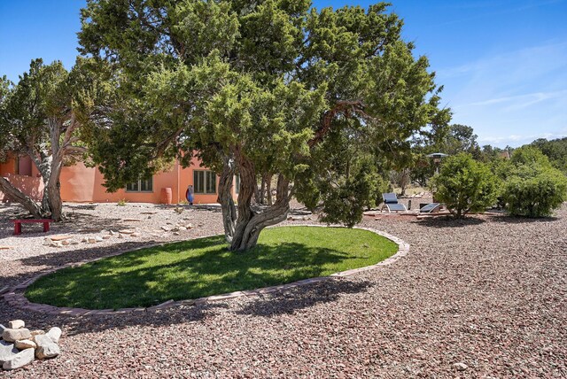 28 Canon Escondido, Sandia Park, NM 87047 - view of yard