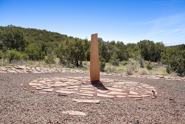 28 Canon Escondido, Sandia Park, NM 87047 - view of yard featuring a wooded view