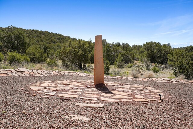 28 Canon Escondido, Sandia Park, NM 87047 - photo 62
