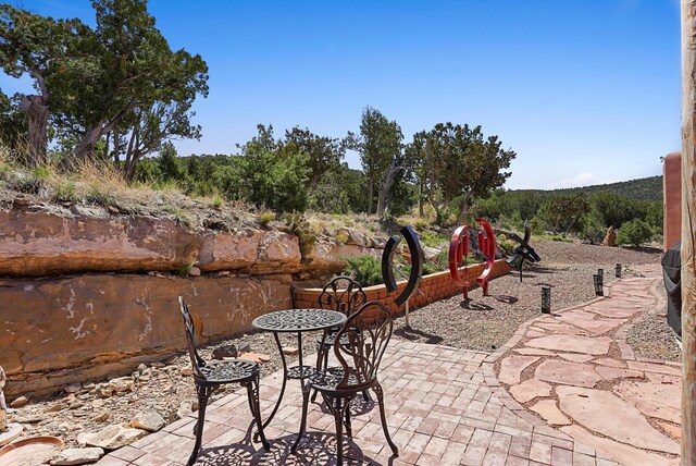 28 Canon Escondido, Sandia Park, NM 87047 - photo 65