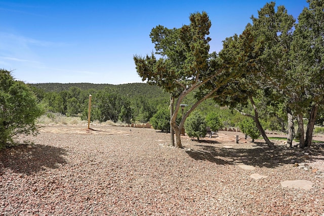 28 Canon Escondido, Sandia Park, NM 87047 - view of woods