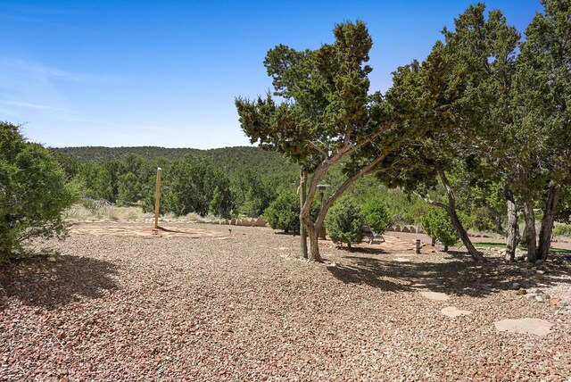 28 Canon Escondido, Sandia Park, NM 87047 - photo 67