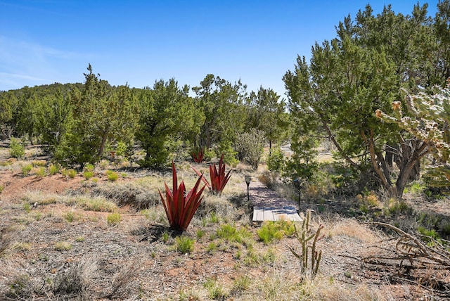 28 Canon Escondido, Sandia Park, NM 87047 - view of local wilderness