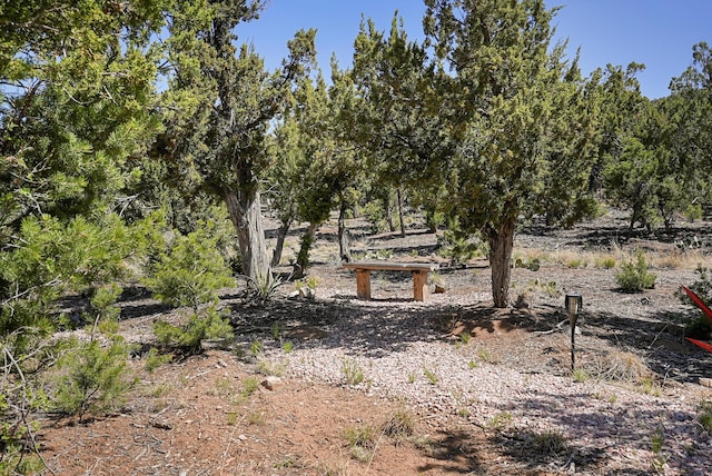 28 Canon Escondido, Sandia Park, NM 87047 - view of yard