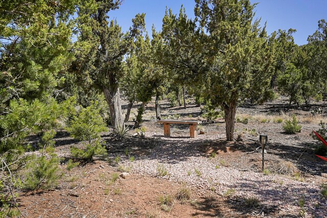 28 Canon Escondido, Sandia Park, NM 87047 - photo 69