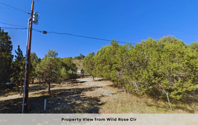 0 Wild Rose, Ruidoso, NM 88345 - photo 15