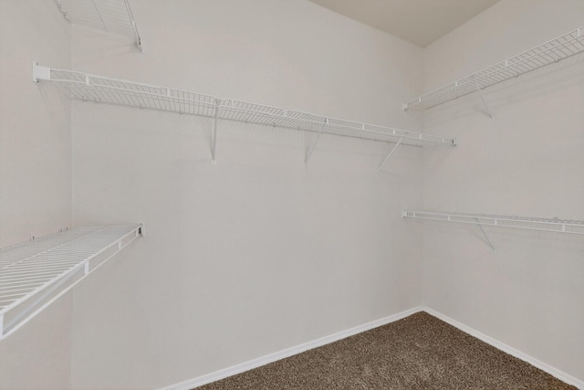 6132 Cielo Grande Dr NE, Rio Rancho, NM 87144 - photo 21
