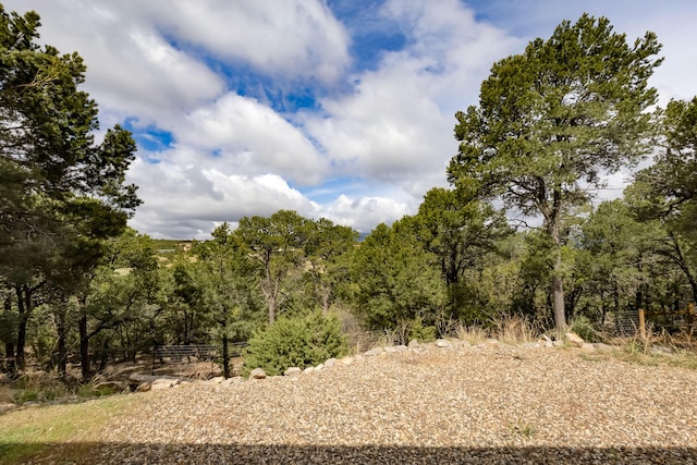 13 Asher Ln, Tijeras, NM 87059 - view of nature