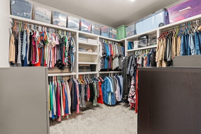 1661 Camino Culiacan, Los Lunas, NM 87031 - spacious closet featuring carpet flooring