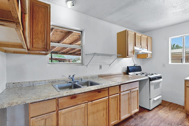 1237 Gabaldon Rd, Belen, NM 87002 - kitchen featuring white gas range oven, a sink, under cabinet range hood, wood finished floors, and light countertops
