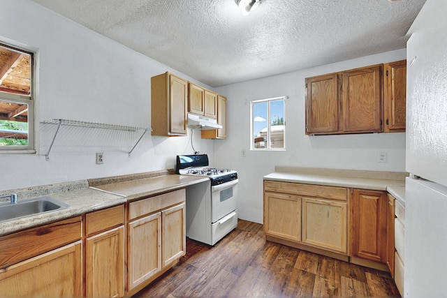 1237 Gabaldon Rd, Belen, NM 87002 - kitchen featuring white appliances, under cabinet range hood, a sink, dark wood-style flooring, and a textured ceiling