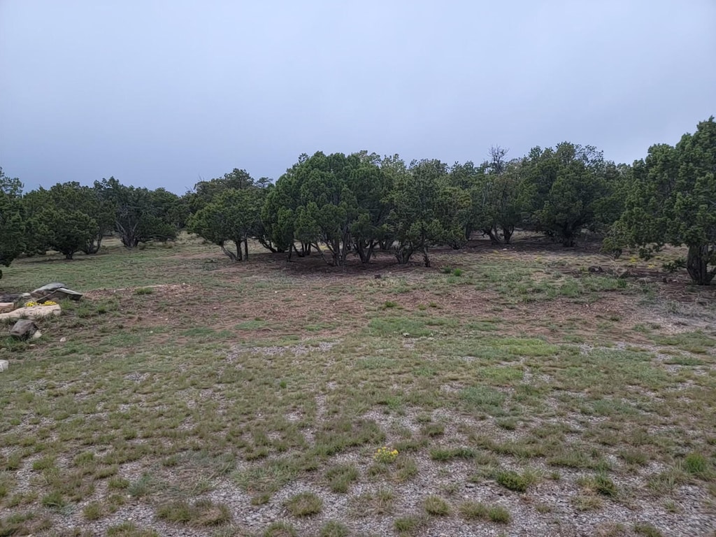 100 High Vista Ct, Edgewood, NM 87015 - photo 1