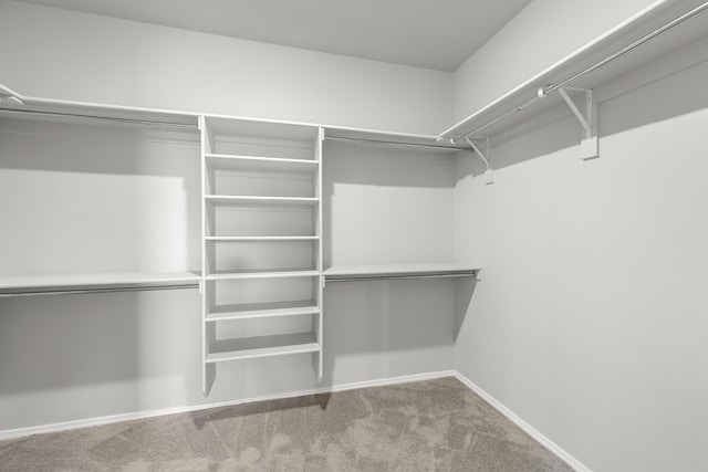6 Margarita Cir, Los Lunas, NM 87031 - spacious closet featuring carpet