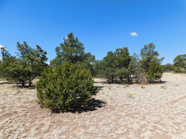 15 River Ln, Quemado, NM 87829