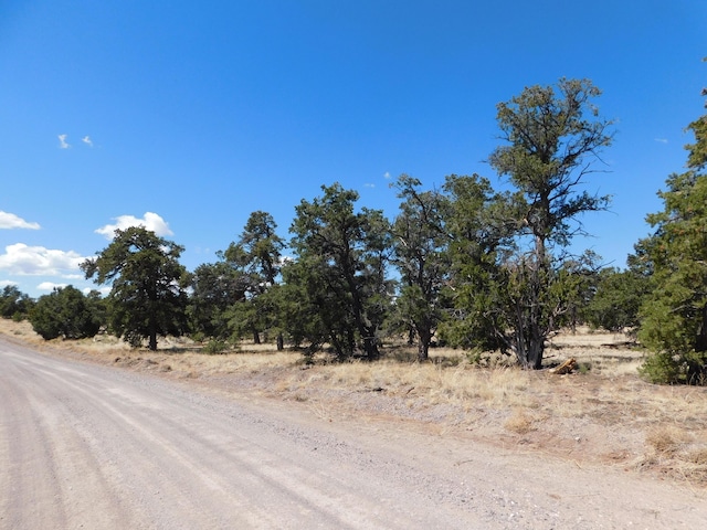15 River Ln, Quemado, NM 87829