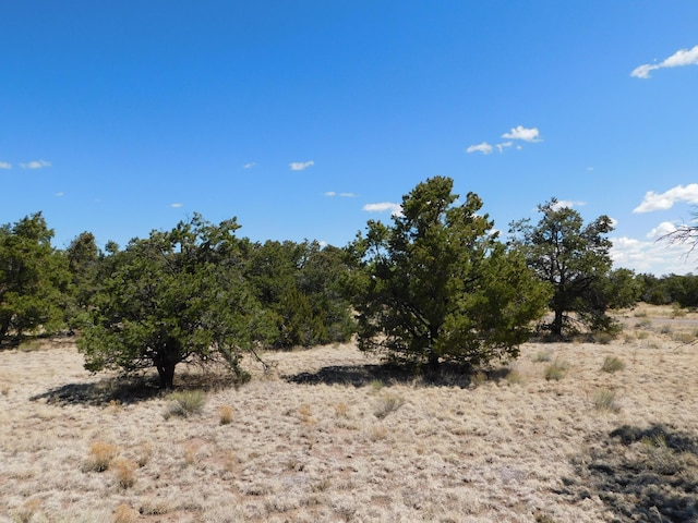 15 River Ln, Quemado, NM 87829