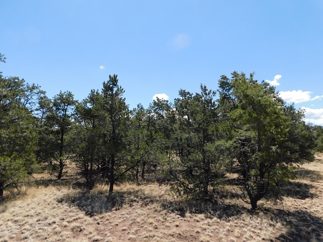 15 River Ln, Quemado, NM 87829