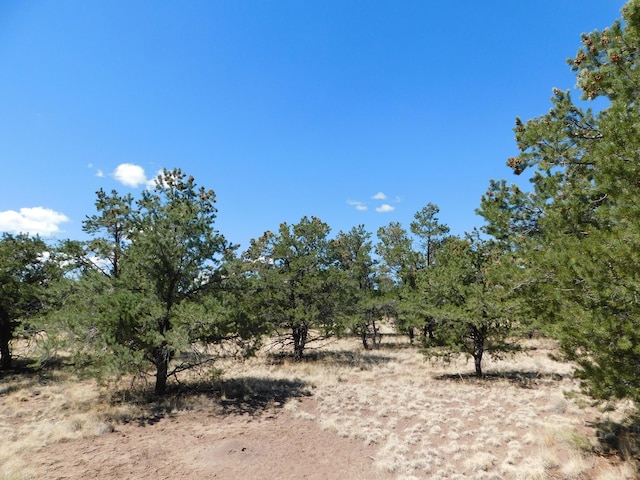 15 River Ln, Quemado, NM 87829