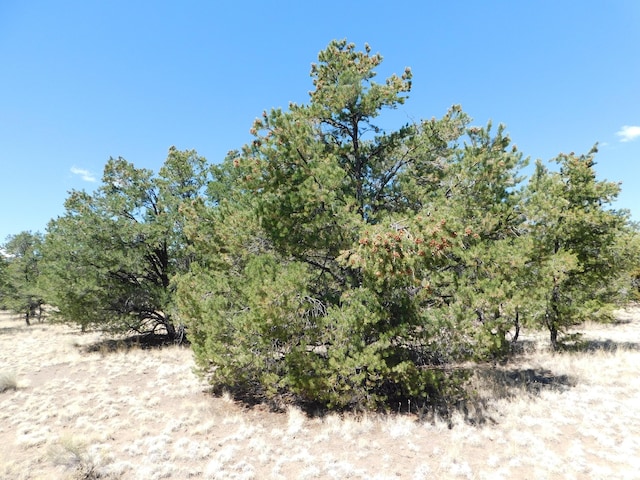 15 River Ln, Quemado, NM 87829
