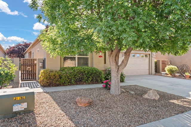 3827 Fox Sparrow Trl NW, Albuquerque, NM 87120 - obstructed view of property with driveway, a gate, stucco siding, and an attached garage