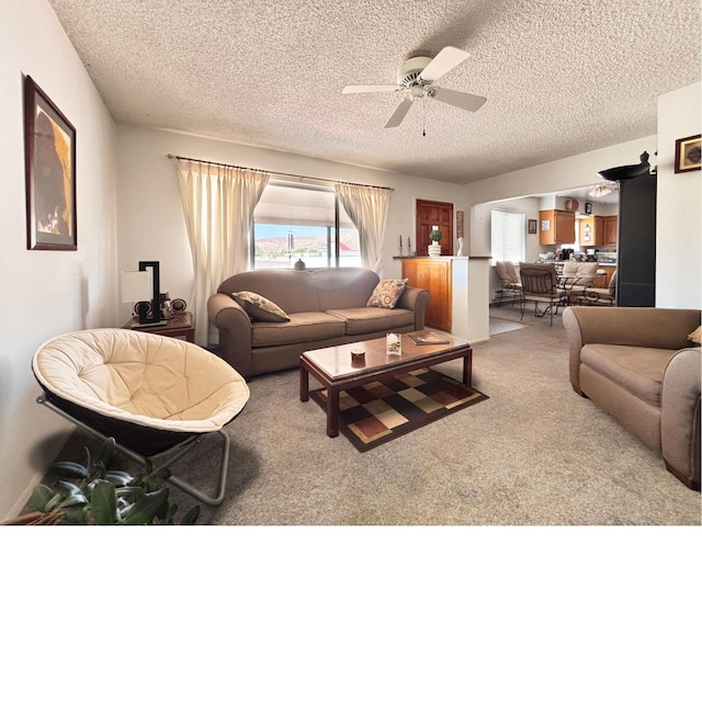 306 Ash St, Truth Or Consequences, NM 87901 - photo 7
