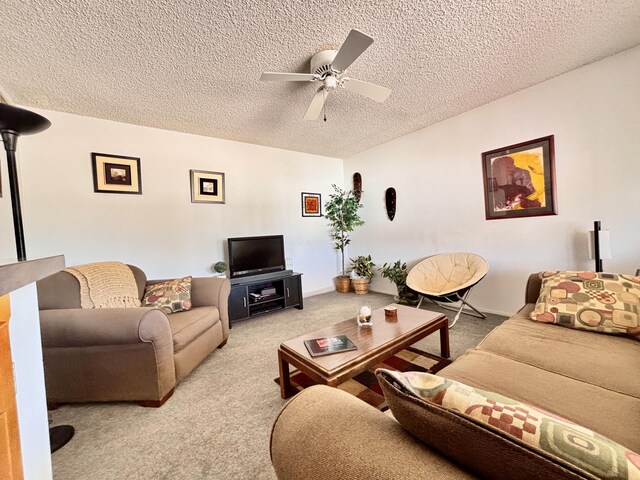 306 Ash St, Truth Or Consequences, NM 87901 - photo 9