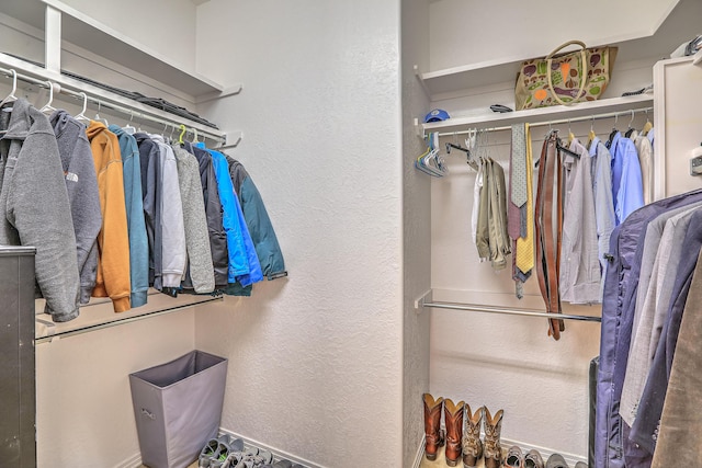 4110 Waterwillow Pl NW, Albuquerque, NM 87120 - view of walk in closet